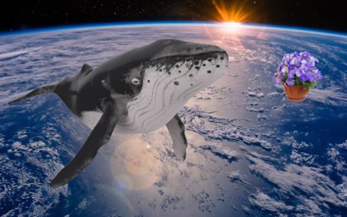 Sperm Whale and Bowl of Petunias in Space